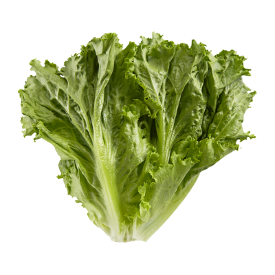 null Organic Green Leaf Lettuce 1 ea, $5.49/1ea
