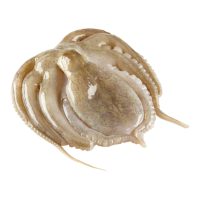 null Baby Octopus $22.02/1kg $9.99/1lb