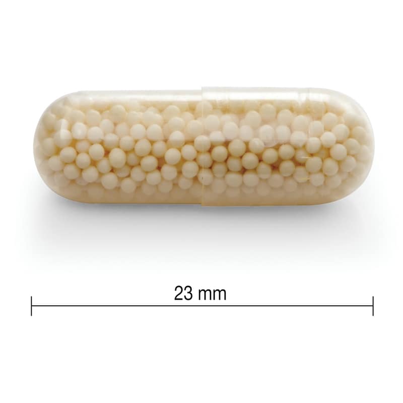Vitamin C 500 mg Timed Release Capsules