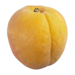 null Abricots 15,41 $/1kg 6,99 $/1lb