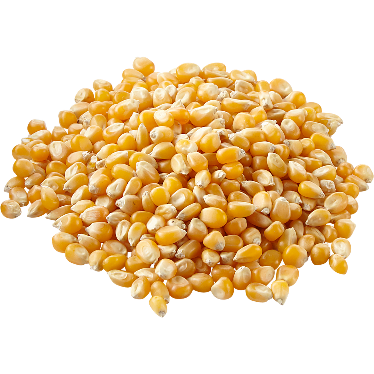 null Popcorn, Gourmet $0.60/100g $6.00/1kg