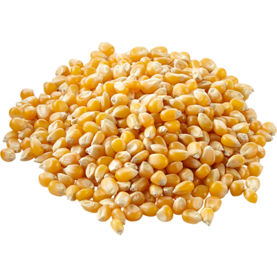null Maïs à éclater Gourmet 0,60 $/100g 6,00 $/1kg