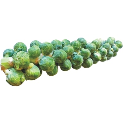 null Tige de choux de Bruxelles 1 ea, 3,99 $/1ch