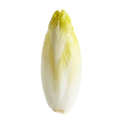 null Belgian Endive $13.21/1kg $5.99/1lb