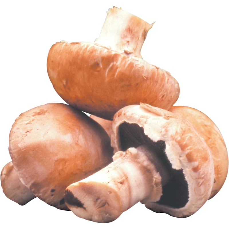 Cremini Mushrooms