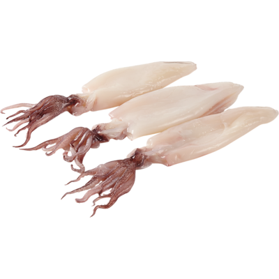 null CALMARS ENTIERS FRAIS 41,87 $/1kg 19,00 $/1lb