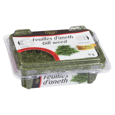 Dill Leaves