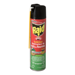 Raid Insecticide Destructeur de nids de fourmis 1 ea, 11,50 $/1ch