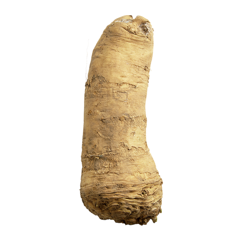 Horseradish