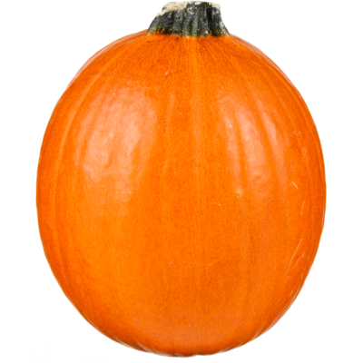 null Pie Pumpkin 1 ea, $2.00/1ea