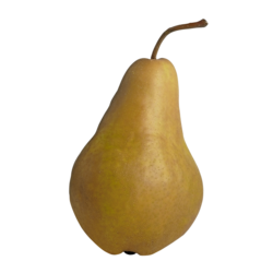 PC Organics Organic Bosc Pears $8.80/1kg $3.99/1lb