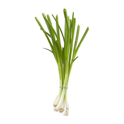 null Green Onion 1 ea, $1.99/1ea