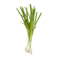Oignons verts