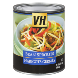 sprout出品 Finally my own sprout! : r/sanpedrocactus