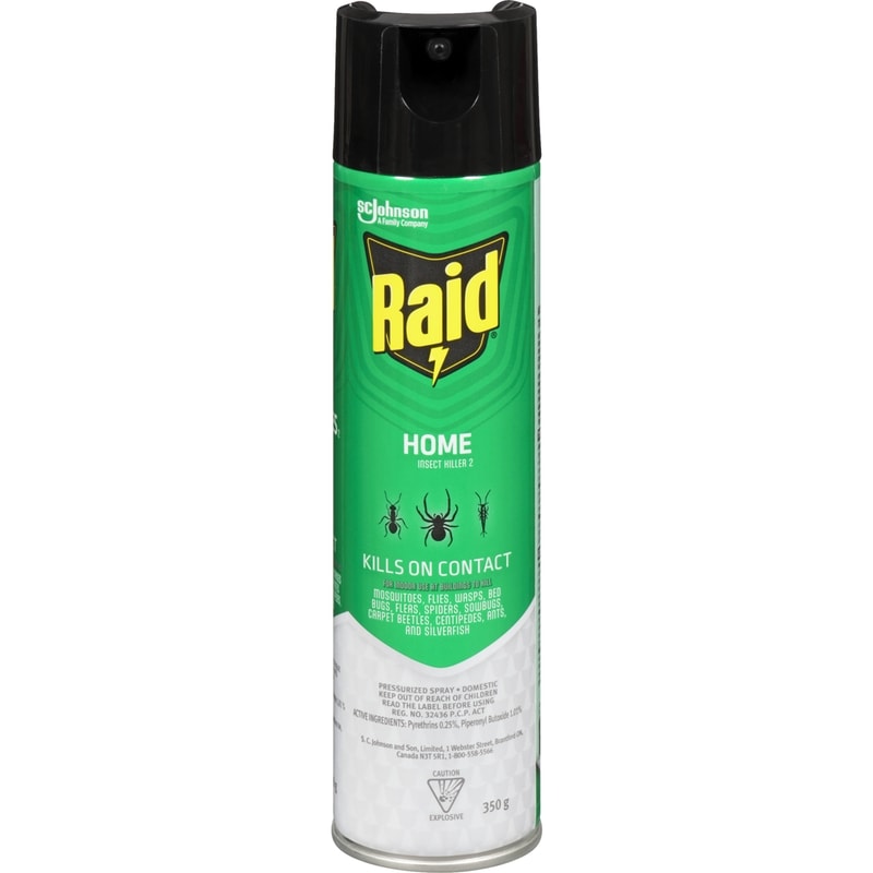 Raid Home Insect Killer - 1 ea | Zehrs