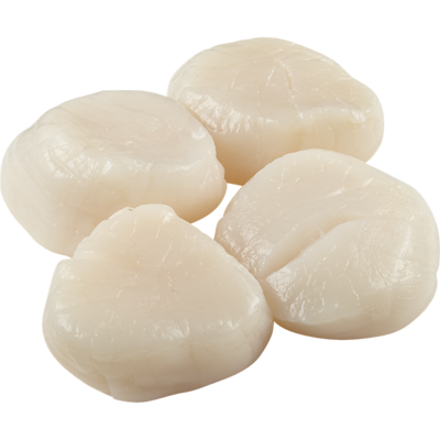 null Sea Scallops, Tub 10 - 20 $83.75/1kg $38.00/1lb