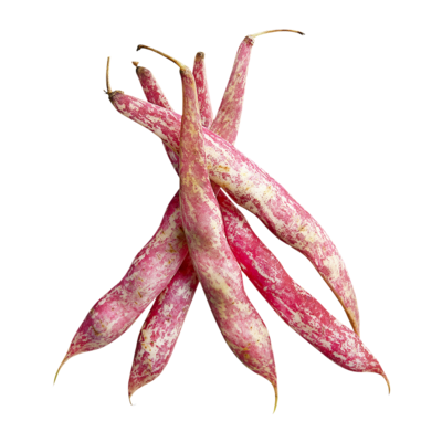 null Romano Beans $0.66/100g $6.59/1kg