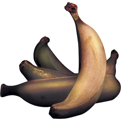 Plantains, Single