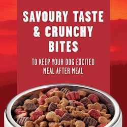 Purina Alpo Cookout Classics Pork, Beef, Chicken & Veggie, Dry Dog