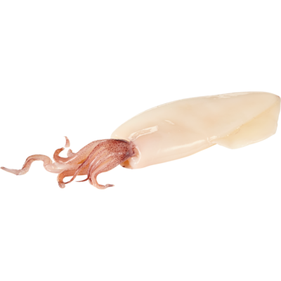 null Cuttlefish, Cleaned $19.82/1kg $8.99/1lb