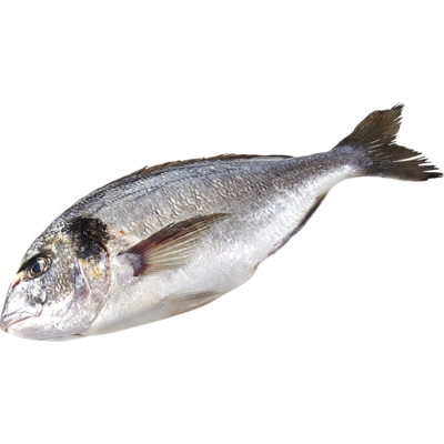 null Dorade grise 33,05 $/1kg 15,00 $/1lb