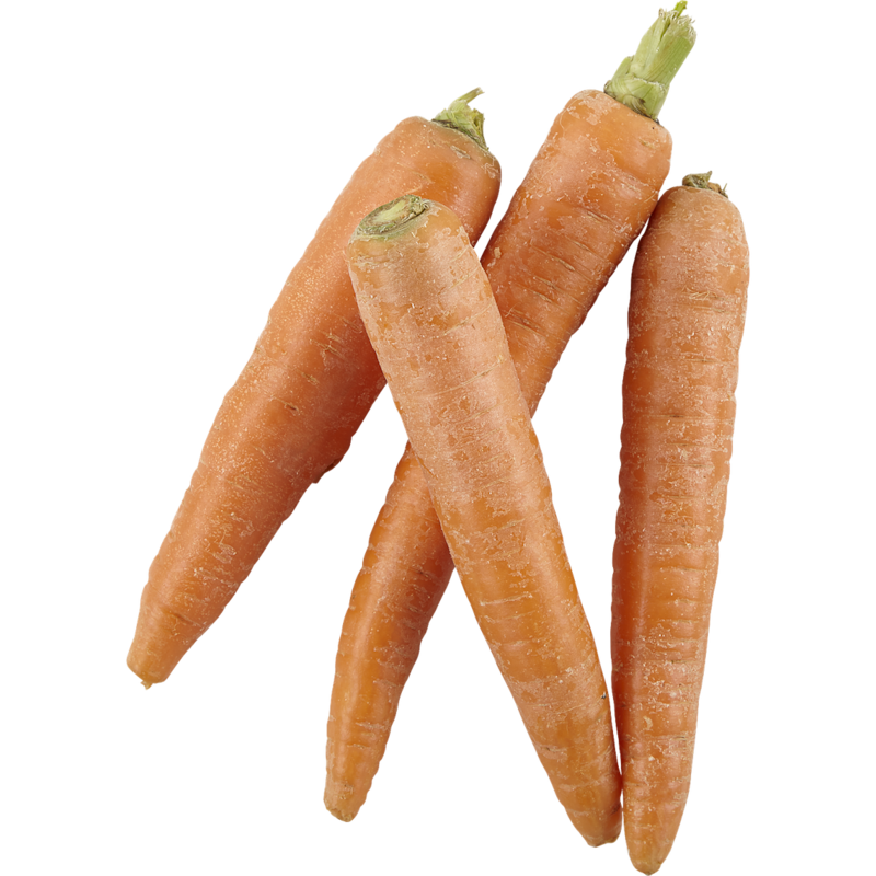 邦楽 CARROTS and STiCKS 20116186001_en_front_800.png