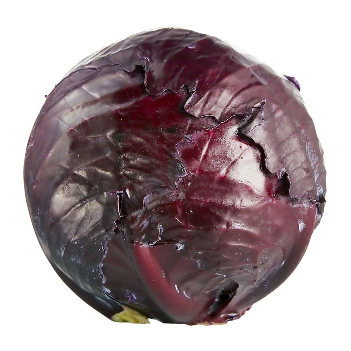 null Organic Cabbage, Red $4.39/1kg $1.99/1lb