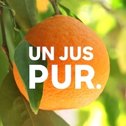 Tropicana Jus d'orange Tropicana Original (sans pulpe) l