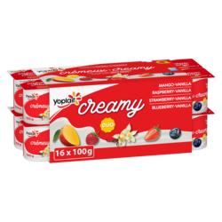 Yoplait Creamy 1% Smooth Traditional Yogurt Cups Variety Pack 16x100.0 g, $0.50/100g