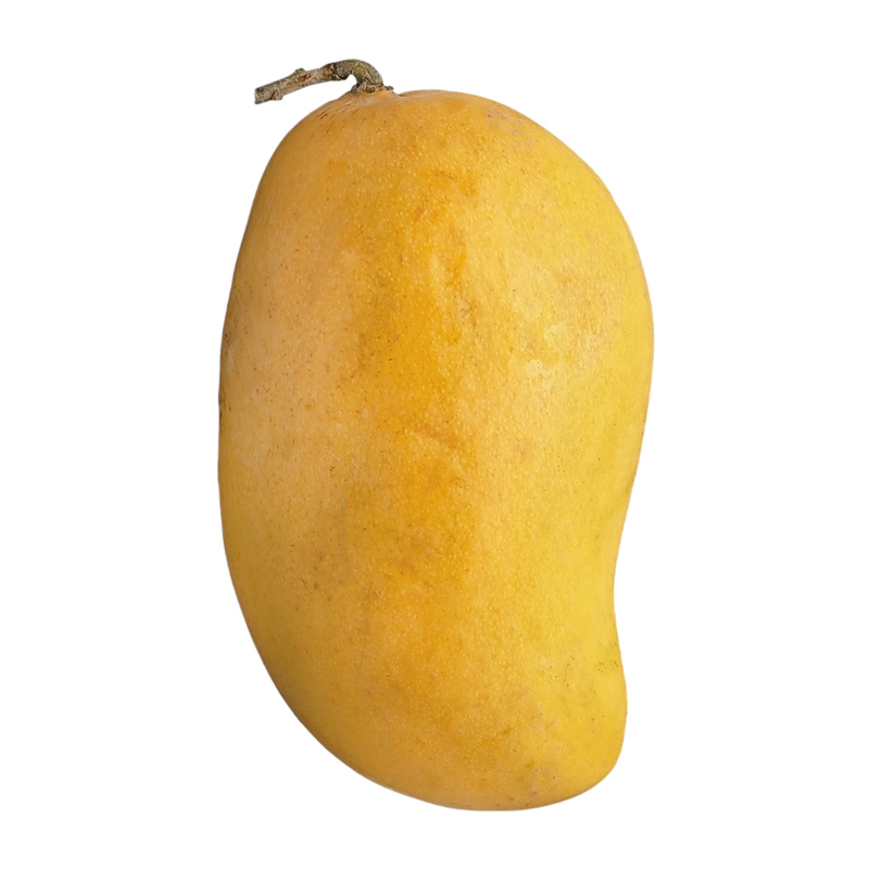 Ataulfo Mango