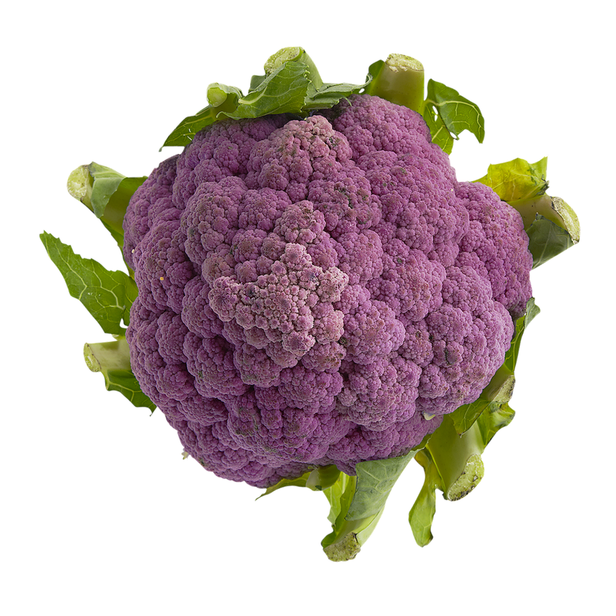null Purple Cauliflower 1 ea, $4.99/1ea