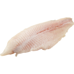Catfish Fillet