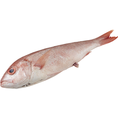 null Whole B-Liner $41.87/1kg $19.00/1lb