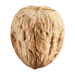 null Noix de Grenoble 1,10 $/100g 4,99 $/1lb