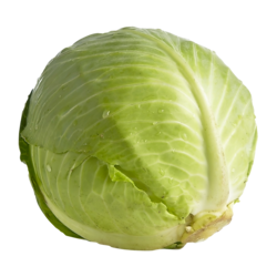 null Organic Green Cabbage $5.05/1kg $2.29/1lb