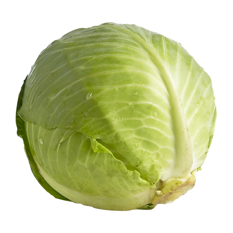 Organic Green Cabbage