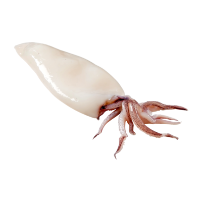 null Whole Cleaned Squid $28.64/1kg $12.99/1lb