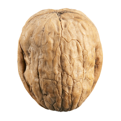 null Black Walnuts $0.88/100g $8.80/1kg
