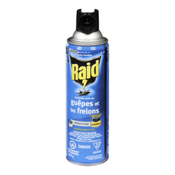 Raid Insecticide contre les guêpes et les frelons 400 g, 3,00 $/100g