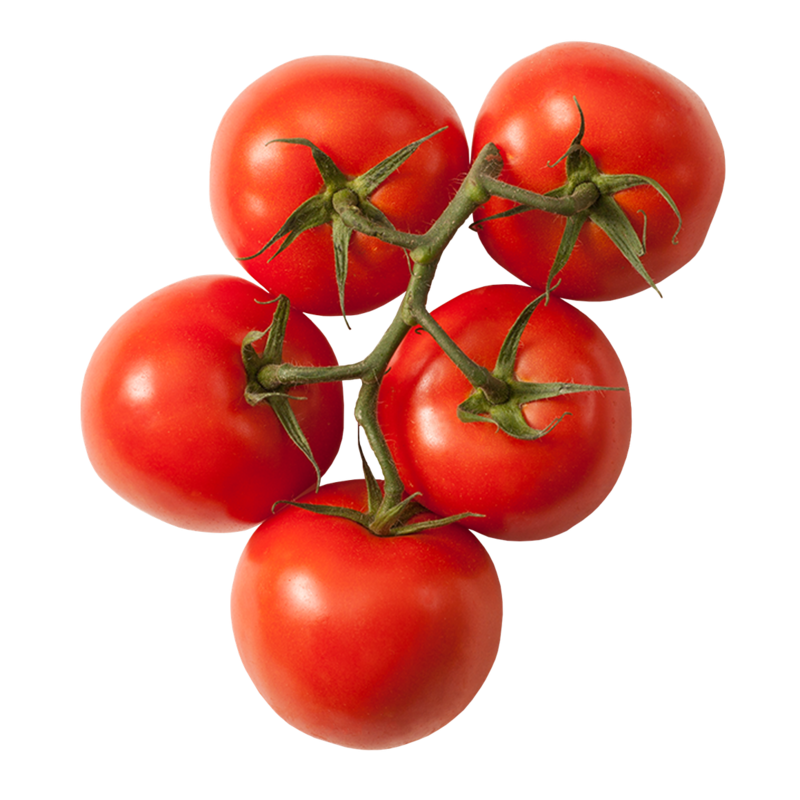 PC Organics Tomato On The Vine Red (1 Bunch) | No Frills Online