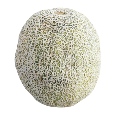 null Cantaloups biologiques 1 ea, 6,00 $/1ch