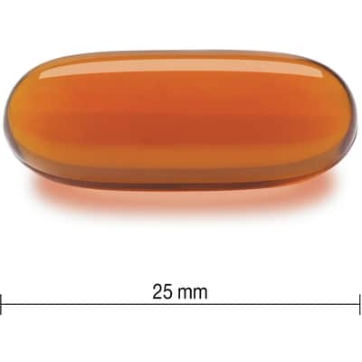 Lecithin Softgels 1,200 mg