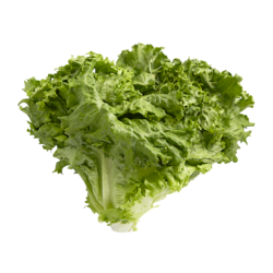 null Laitue feuille verte 1 ea, 2,17 $/1ch