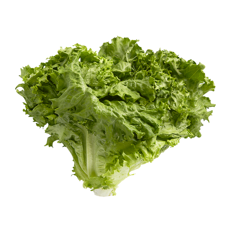 green leaves Green Leaf Lettuce - 1 ea | Real Canadian Superstore