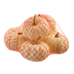null Citrouilles miniatures Baby Boo 6x1.0 ea, 0,67 $/1ch