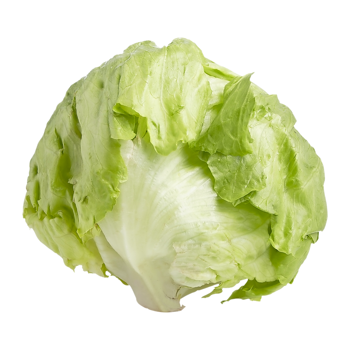 null Iceberg Lettuce (Case) 1 ea, $1.33/1ea