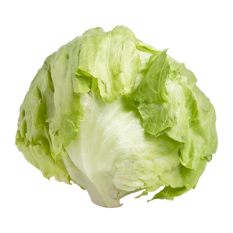 Lettuce Iceberg