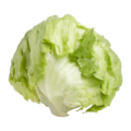 Laitue iceberg
