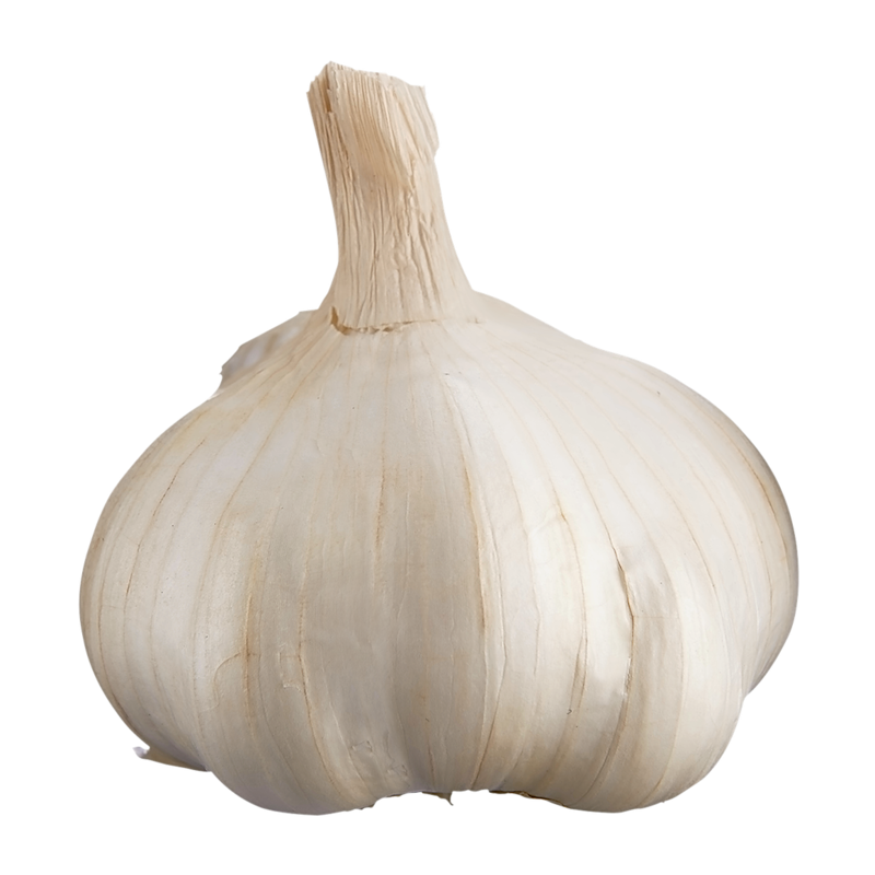 Colossal Fresh Garlic