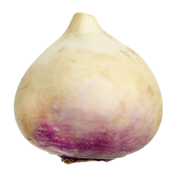 null Turnips $3.31/1kg $1.50/1lb
